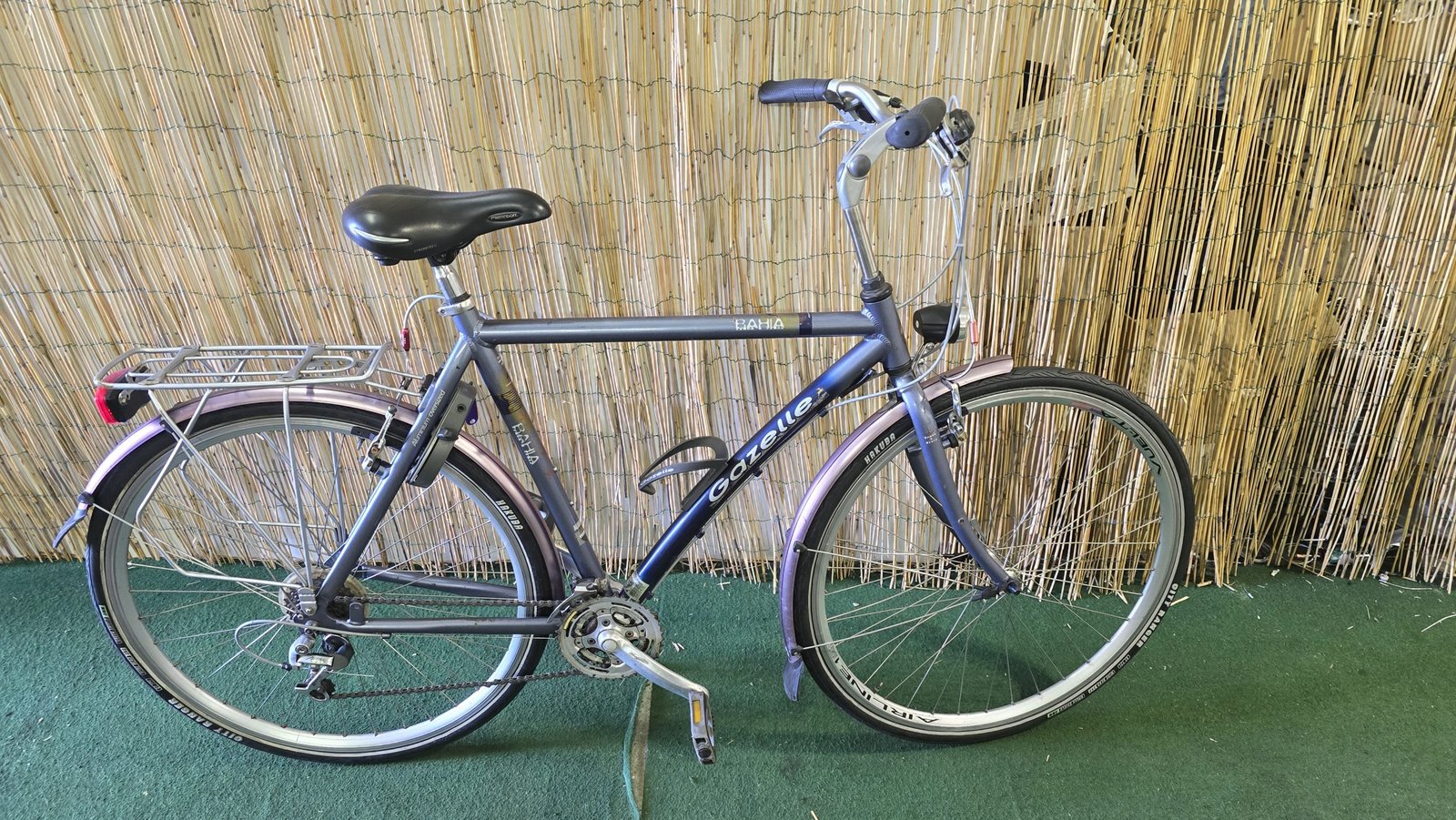 Gazelle Bahia 1566