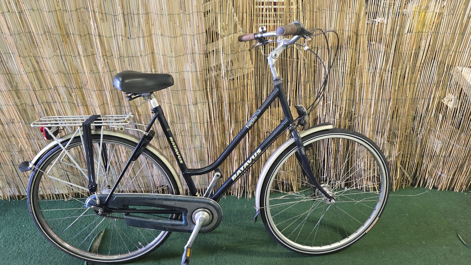 Batavus Fugato 1569