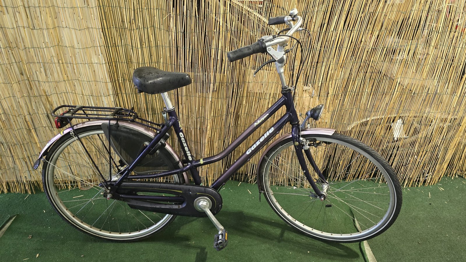 Gazelle Avignon 1670