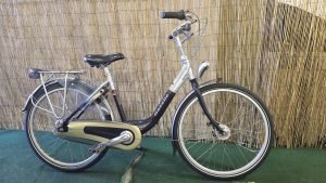 Gazelle Orange 1759