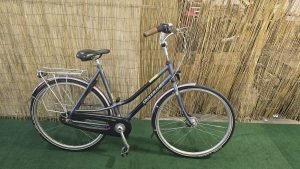 Gazelle Furore 1793