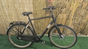 Gazelle Orange 1795