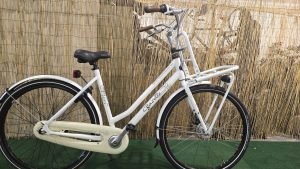 Gazelle Miss Grace 1806