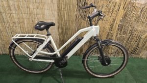 Delivery Bike 1817