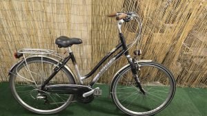 Gazelle Bahia 1818