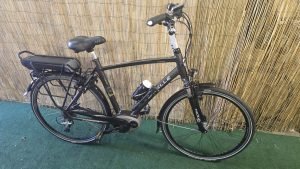 Gazelle Fuente HMB 1832