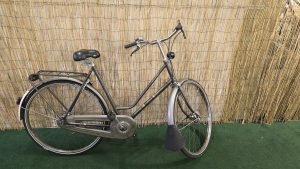 Gazelle Sport Primeur 1857
