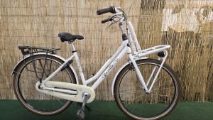 Gazelle Miss Grace 1876