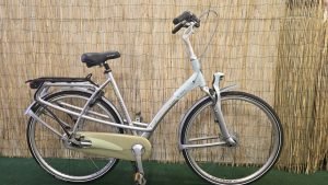 Batavus Mambo 1881