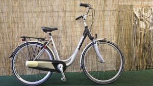 Probike City 1899