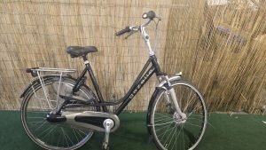 Gazelle Paris 1918