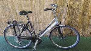 Batavus jakima X-Light 2004