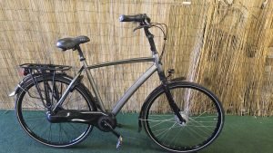Gazelle Chamonix C8 2006