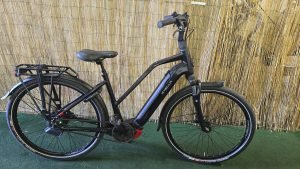Stella Morena Premium MDB FI 2016