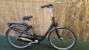 Batavus Mambo LX 2028
