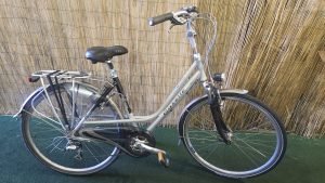 Gazelle Medeo 2033