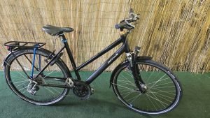 Batavus Zonar 2066