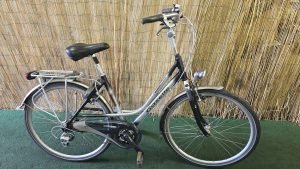 Gazelle Medeo 2067