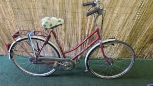 Gazelle Trendy 2071