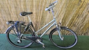 Gazelle Cayo 2074
