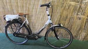 Gazelle Orange C8 HMB 2079