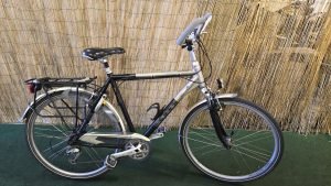 Gazelle Fuente 2082
