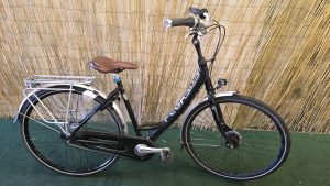 Pegasus Roma 2086