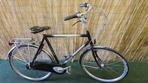 Gazelle Davos 2098