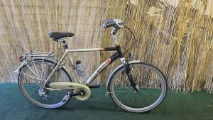 Batavus Europe 2099