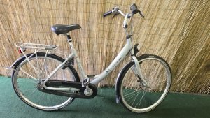 Batavus Lucca 2118