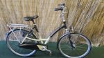 Montego Distraction 2163