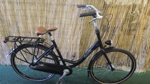 Gazelle Bloom C7 2192