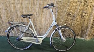 Gazelle Orange Plus 2198