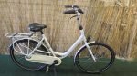 Gazelle Bloom C7 2202