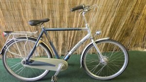 Gazelle Esprit 2209