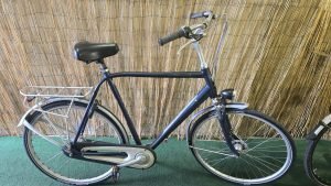 Batavus Monaco 2210