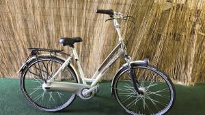 Gazelle Chamonix Plus 2216