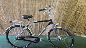 gazelle Chamonix Excellent 2221
