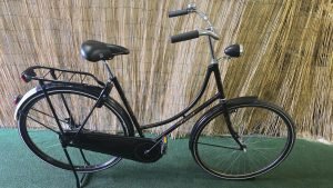 Pointer Classic 2230