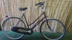 Sparta Essex 2256