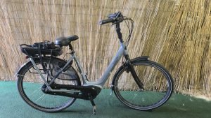 Gazelle Orange C310 HMB 2286