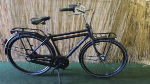 Gazelle Puur NL 2289