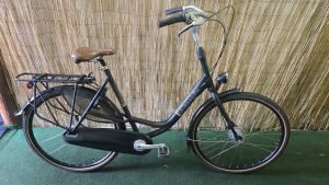 Gazelle Bloom C8 2309
