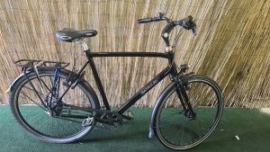 Batavus Dinsdag Belt 2311