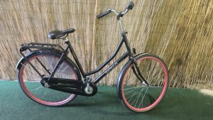 Batavus Winner 2313