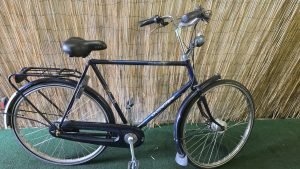 Gazelle Primeur 2315