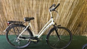 Gazelle Fuente Pure 2320