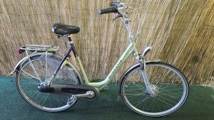Gazelle Orange 2321