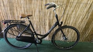 Gazelle Bloom C7 2324