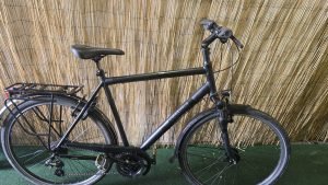 Pegasus Savona 2334